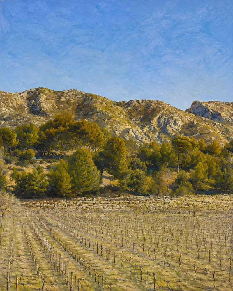 Les Vignes des Alpilles. photographie picturale sur toile, finalisée à la main, Provence